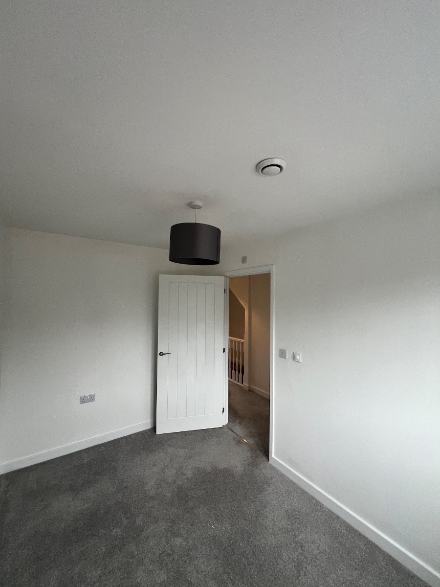 Painter and Decorator: Image 6